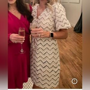 Greylin Sequin Dress